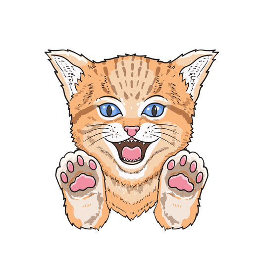 Happy Cat Graphic Tee (White)