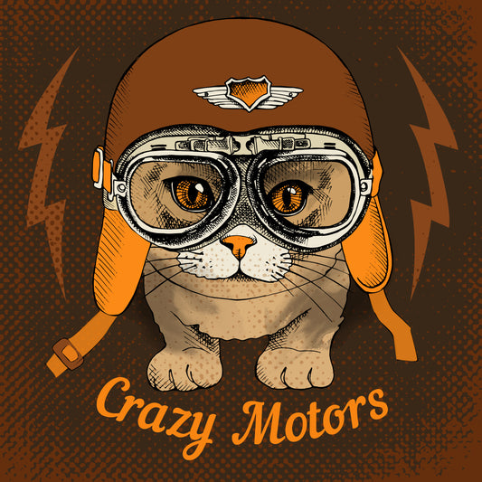 Adventurous Cat T-shirt (Black)