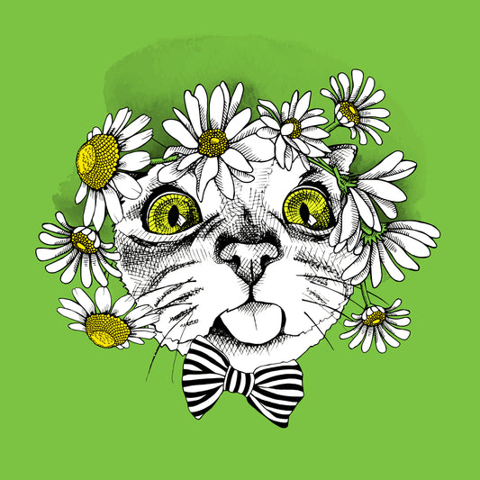 Playful Cat With Daisies (Black)
