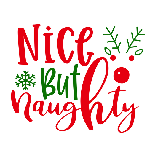 Nice But Naughty Holiday Tee (White)
