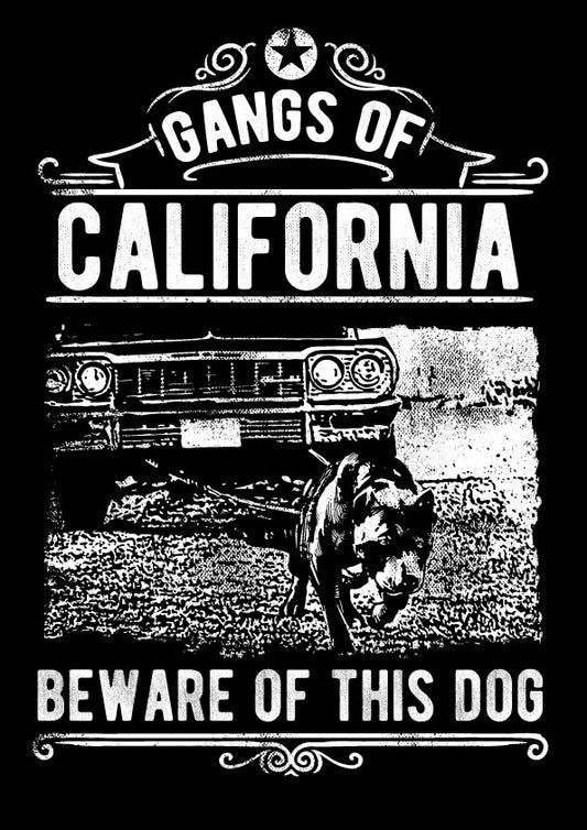 Gangs Of California T-shirt (Black)
