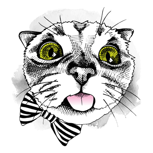 Whimsical Cat Face T-shirt (Black)