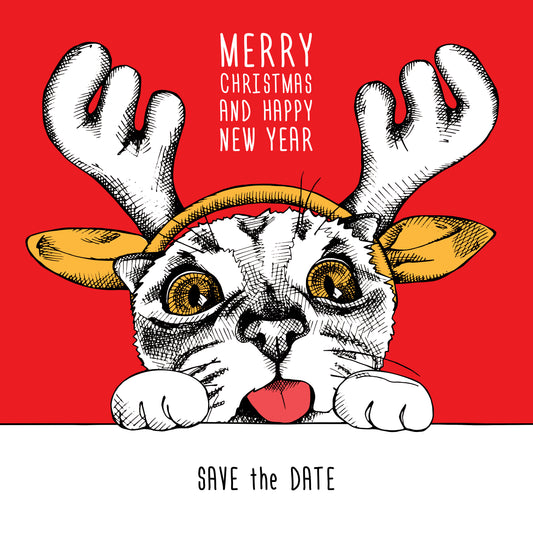 Festive Cat Holiday T-shirt (Black)