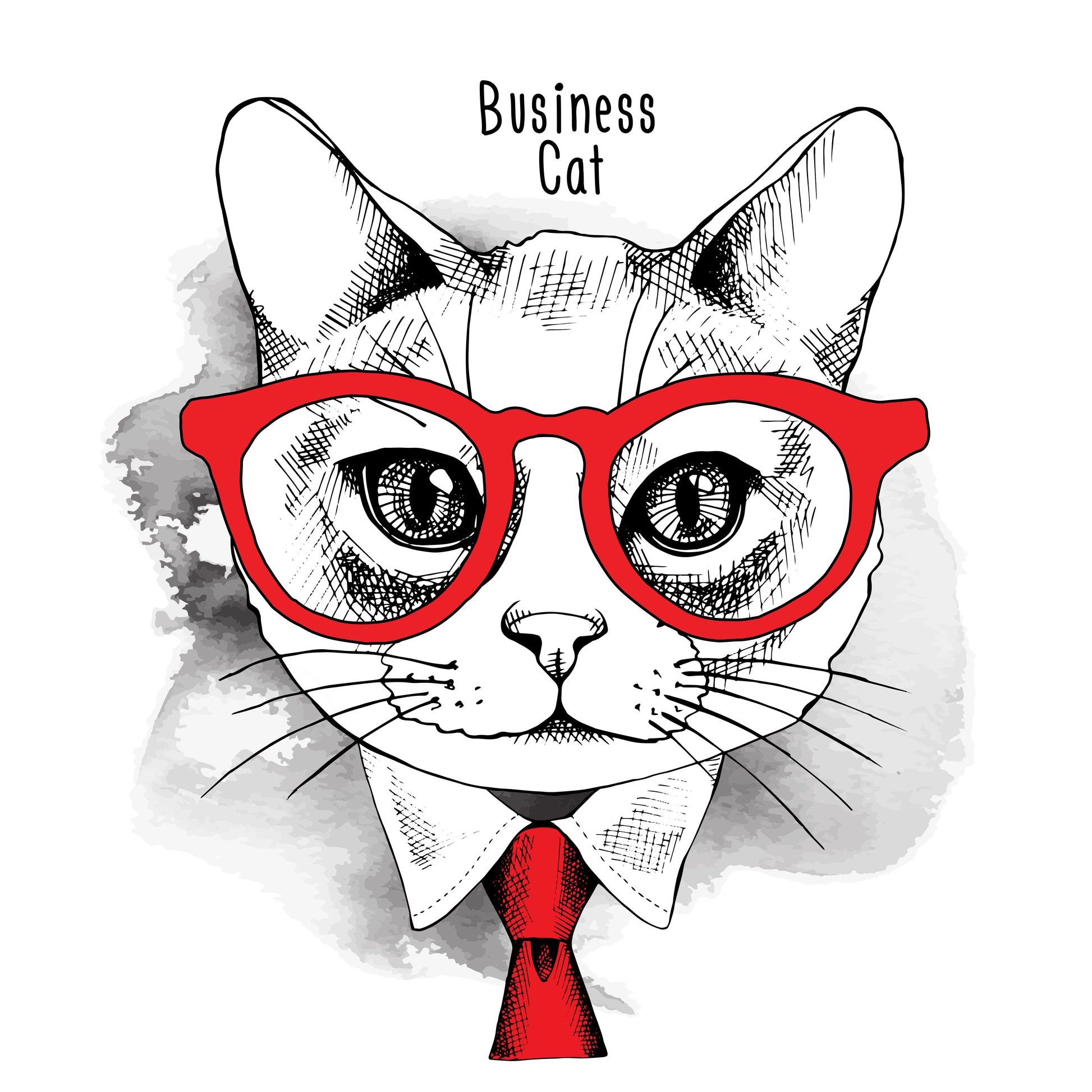 Business Cat Graphic Tee (White)