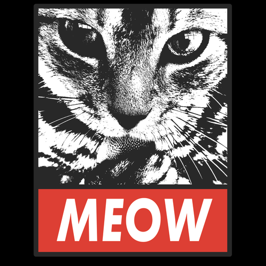 Cat Graphic Tee (White)