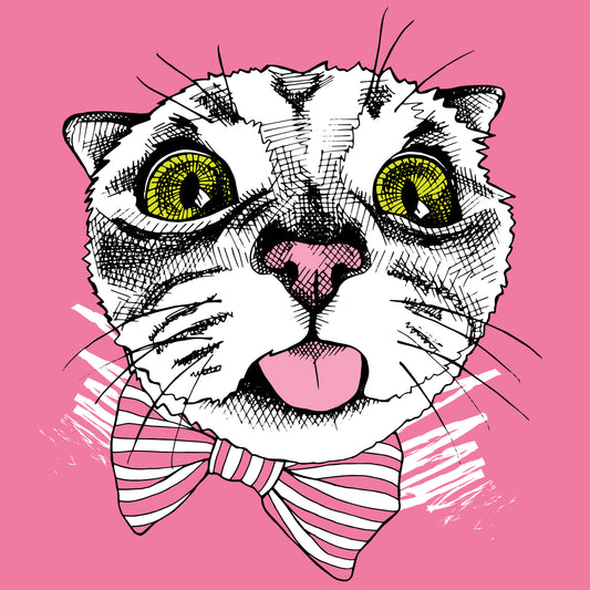 Playful Cat Graphic T-shirt (Black)