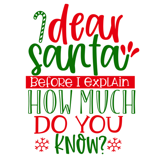 Dear Santa Holiday T-shirt (White)